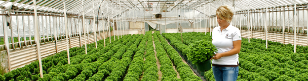 Blond in Greenhouse