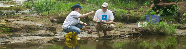 Water Quality